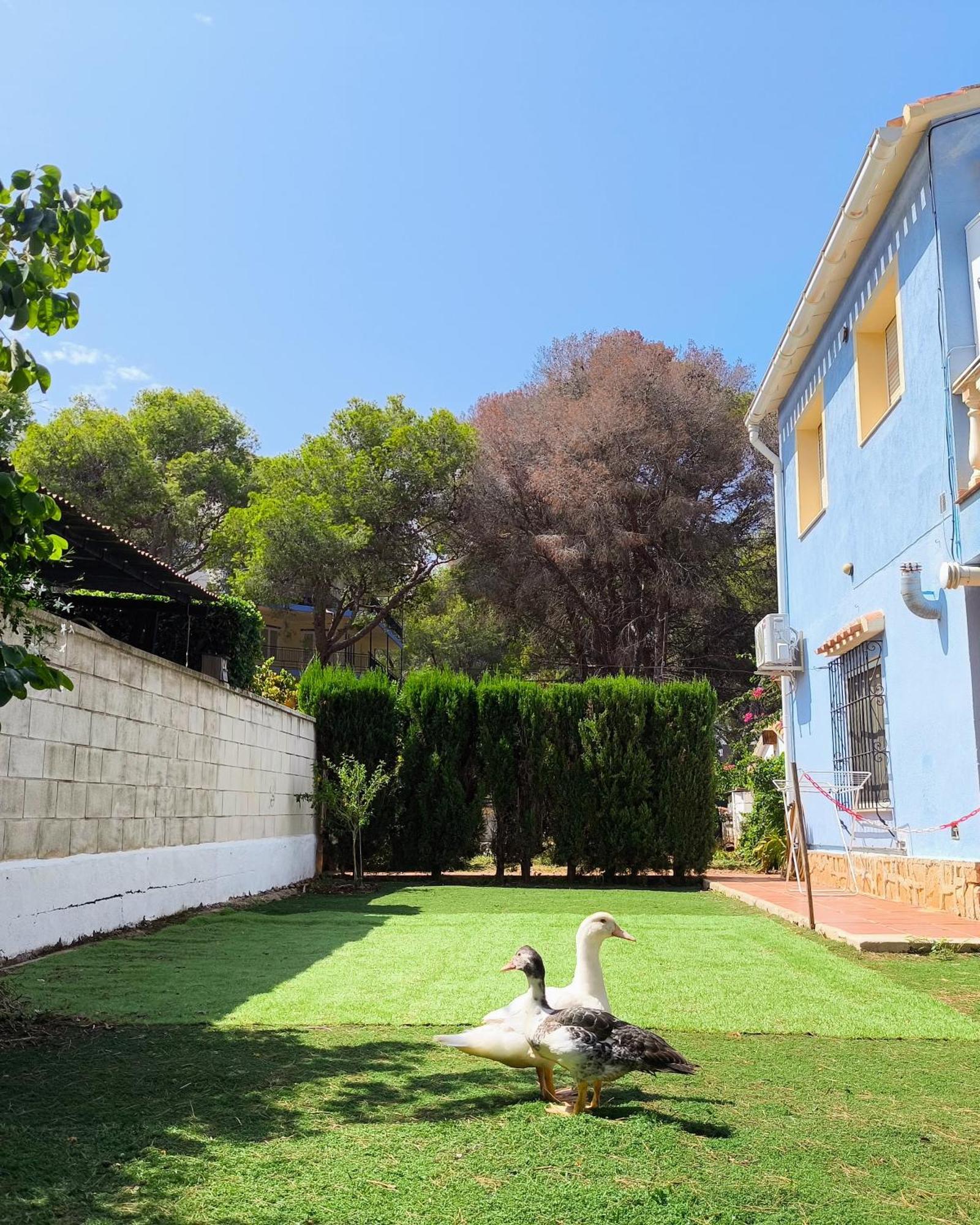 Estudio Las Rotas Denia Exteriör bild